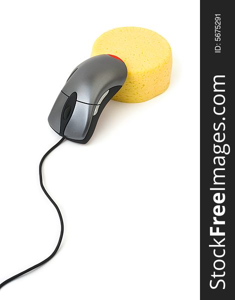 Computer mouse and cheese isolated on white background