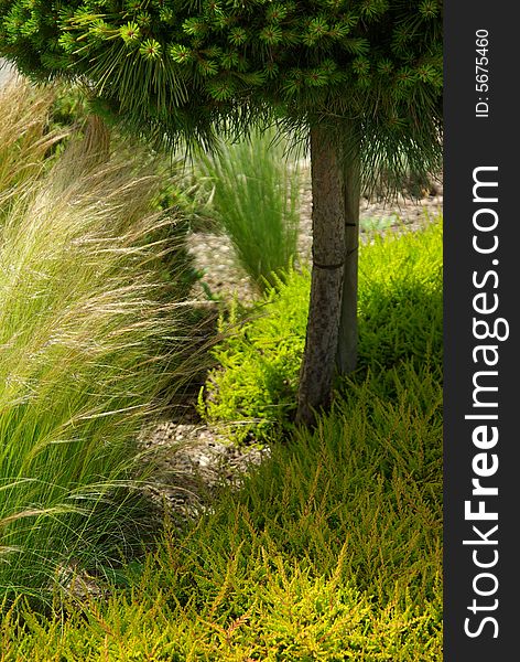 Detail of a botanical garden in France.