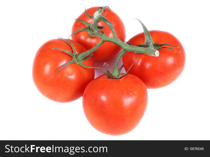 Fresh tomatoes over white background