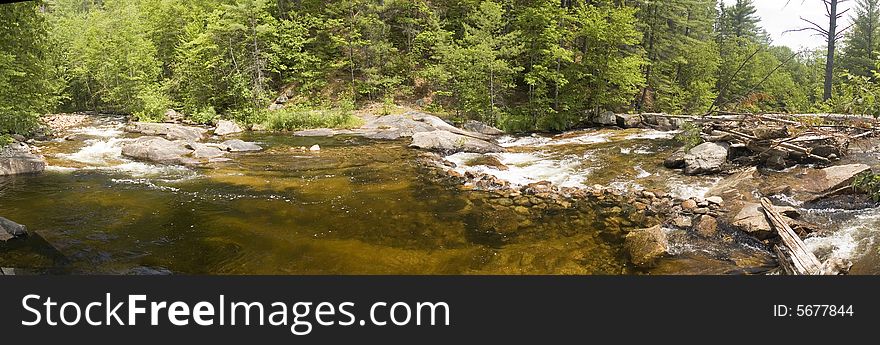 Panoramic view of a small river flowing in the middle of a forest