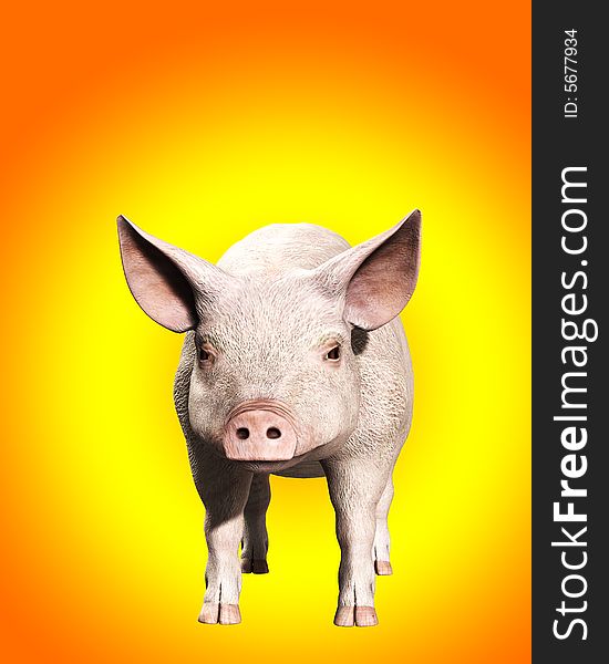 A simple image of a pink farm pig. A simple image of a pink farm pig.