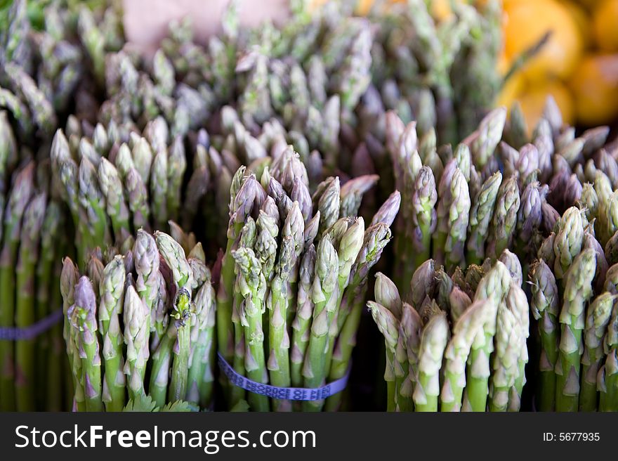 Fresh bunches of asparagus