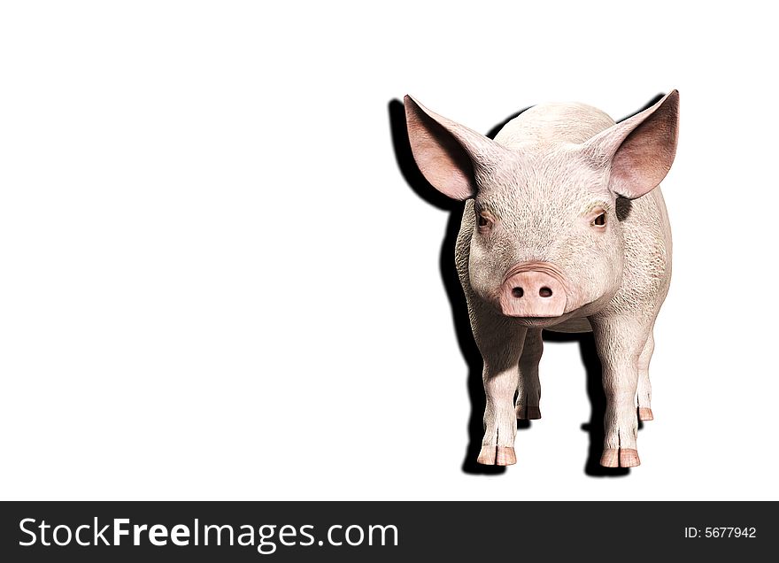 A simple image of a pink farm pig. A simple image of a pink farm pig.