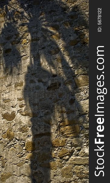 This is the shadow of a palm tree on the wall of Mission San Juan Capistrano. This is the shadow of a palm tree on the wall of Mission San Juan Capistrano