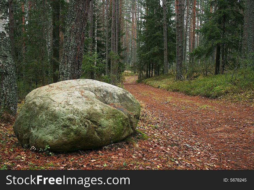Stone at road to a wood thicket. Stone at road to a wood thicket