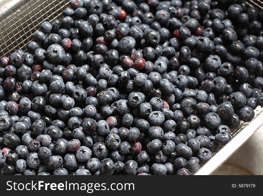 Freshly picked and washed blueberries, ready to eat.