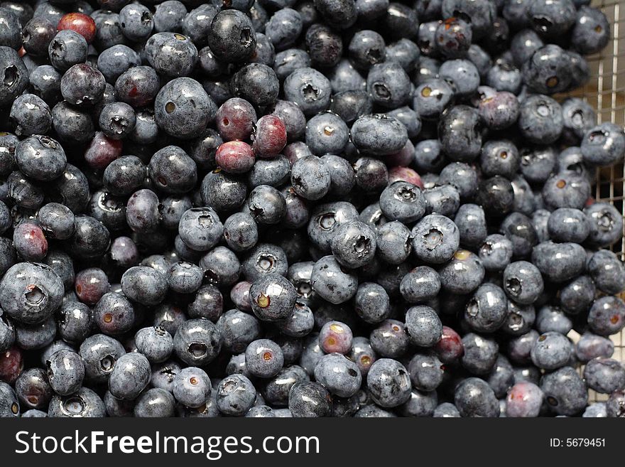 Freshly picked and washed blueberries, ready to eat.