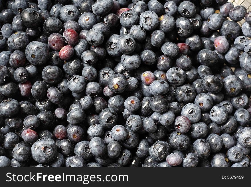 Freshly picked and washed blueberries, ready to eat.