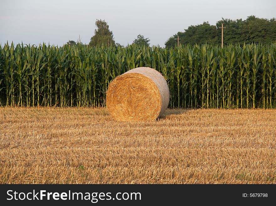 Hay Bale in a field