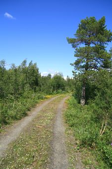 Country Road Royalty Free Stock Images Country Road Royalty Free Stock Images
