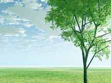 Spring Scenery Royalty Free Stock Photos