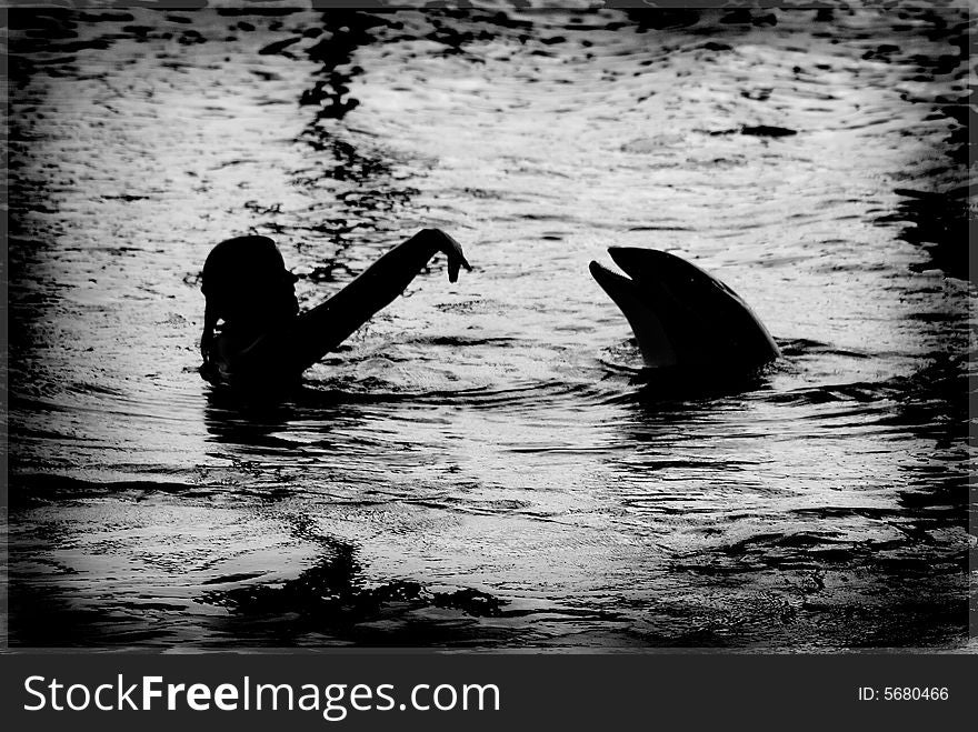 A dolphin at an aquarium