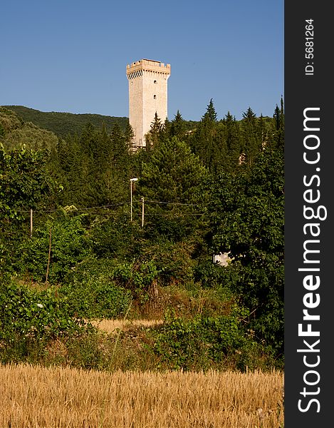 This is an old tower in the umbria wood