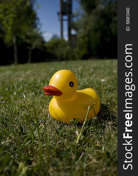 Small plastic duck on grass.