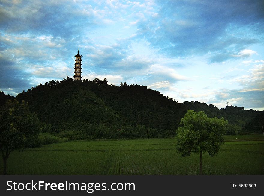 Chinese tower on a bamboo hill. Chinese tower on a bamboo hill