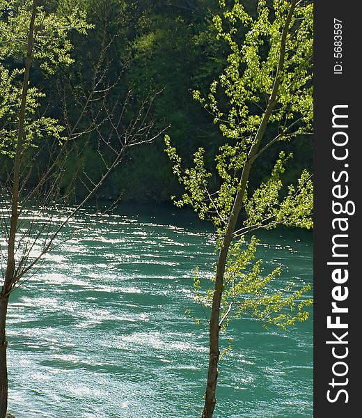 River flowing fast, beautiful emerald water color, spring trees. River flowing fast, beautiful emerald water color, spring trees