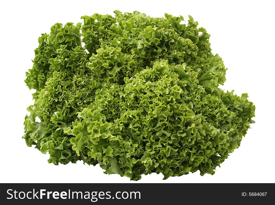 Green Lettuce head isolated on white background
