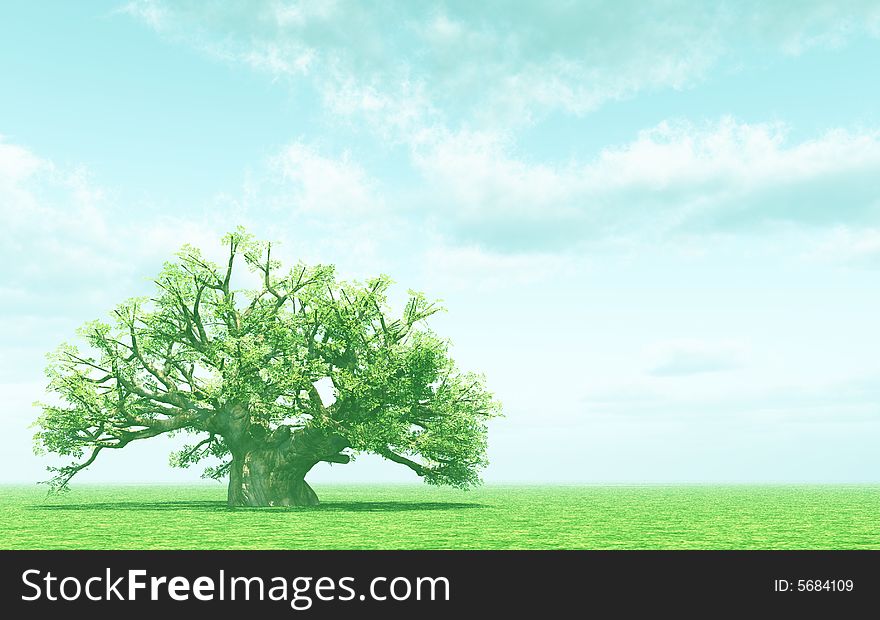Beautiful landscape with lonely tree