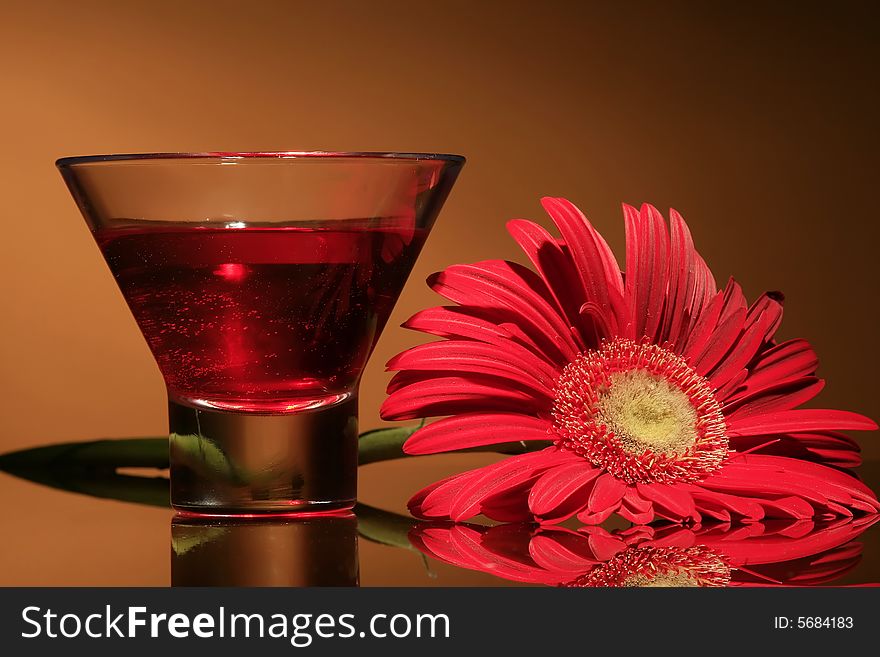 Glass and flower on orange background