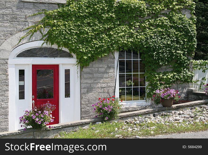 Attractive modernized old stone house with red door and climbing ivy. Attractive modernized old stone house with red door and climbing ivy