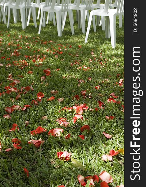 Red petal on green grass and chairs for a wedding ceremony. Red petal on green grass and chairs for a wedding ceremony