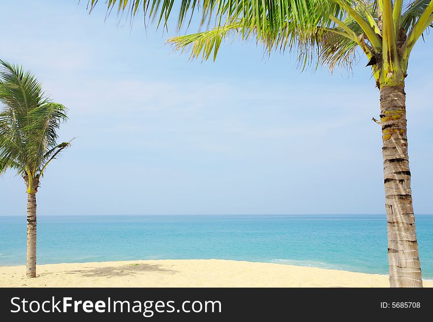 View of nice tropical empty sandy beach with some palm. View of nice tropical empty sandy beach with some palm