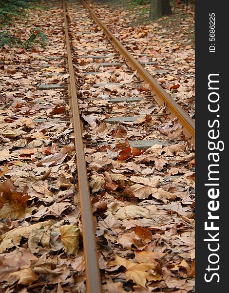 Railway on fading leaves on autumn. Railway on fading leaves on autumn
