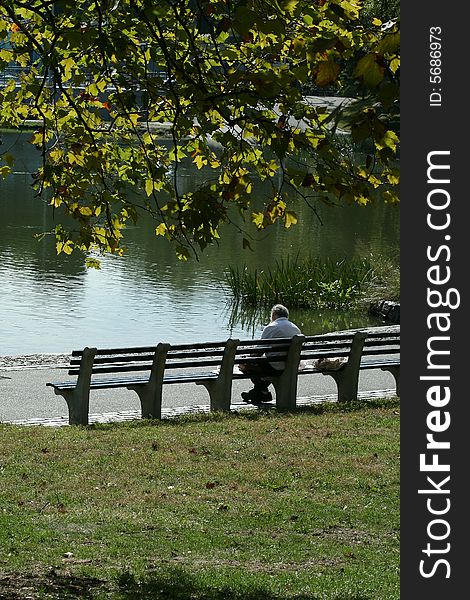 Old man in solitude in a park. Old man in solitude in a park