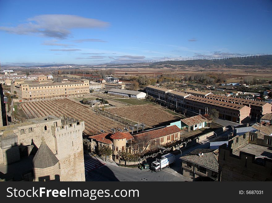 Landscape with vinyards and a castle of Olite in Navarra, Spain