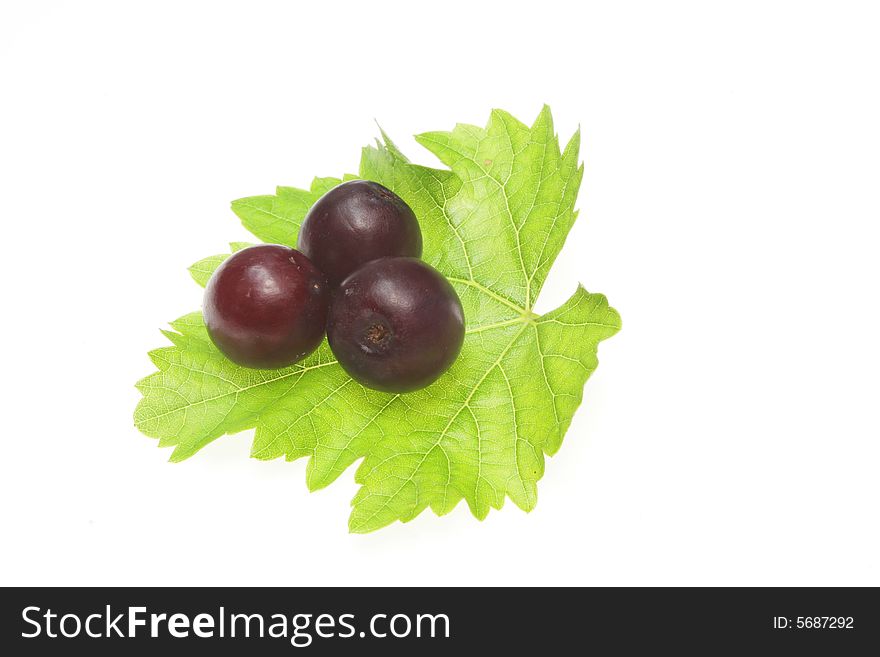 Red grapes on a vine leaf. Red grapes on a vine leaf