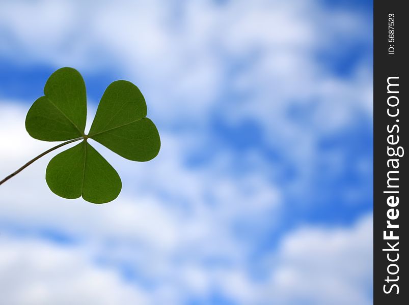 Clover leaf on the sky.