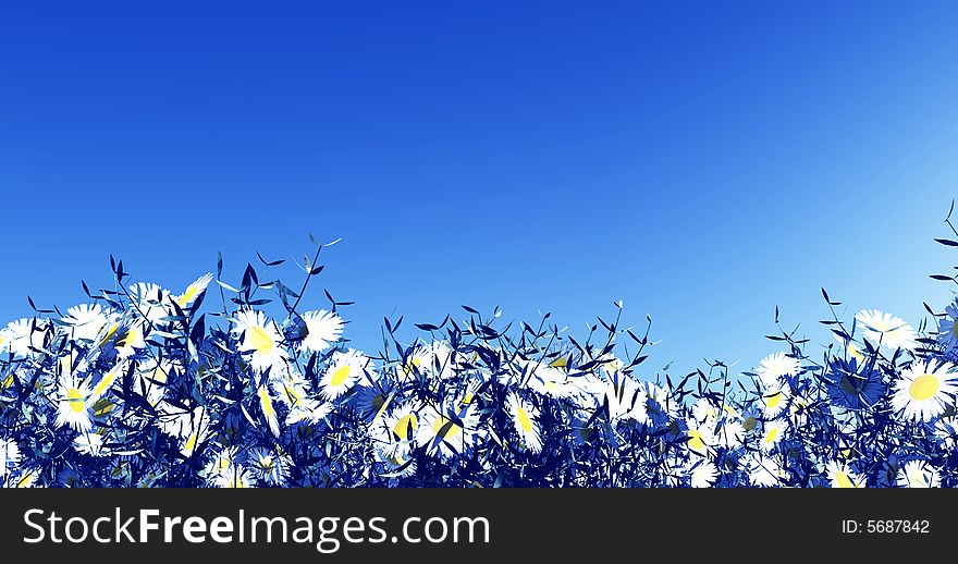 Beautiful white flowers on a blue sky background. Beautiful white flowers on a blue sky background