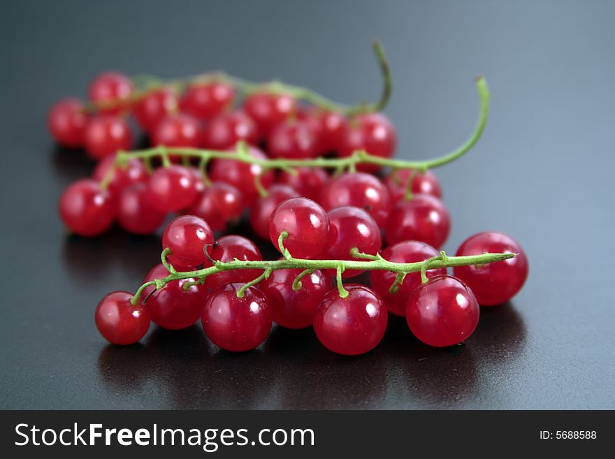 Red currant on black background