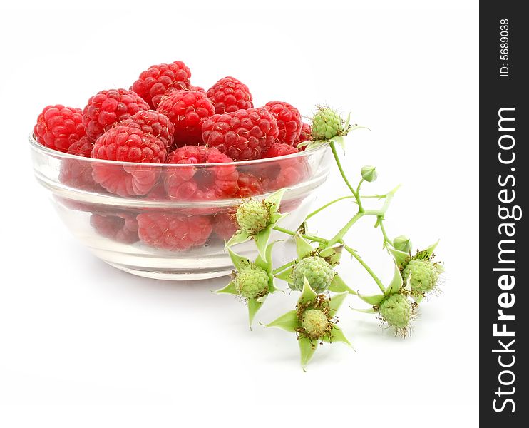 Red raspberry fruits in glass vase