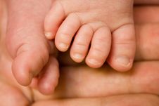 Baby Feet Royalty Free Stock Photos Baby Feet Royalty Free Stock Photos
