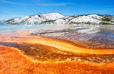 Grand Prismatic Spring Royalty Free Stock Images