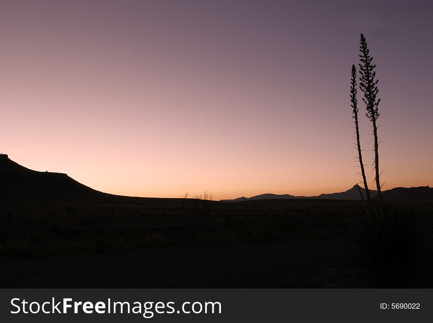 Silhouette of a Yucca Plant at Sunset in the Arizona Desert With Copy Space. Silhouette of a Yucca Plant at Sunset in the Arizona Desert With Copy Space.