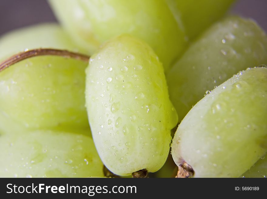 A close up of moist green grapes