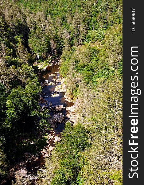 Mountain stream of fresh water. Mountain stream of fresh water