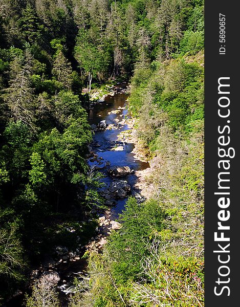 Mountain stream of fresh water. Mountain stream of fresh water