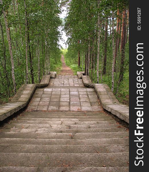 acphalt stairs in forest leads to small lake. acphalt stairs in forest leads to small lake.