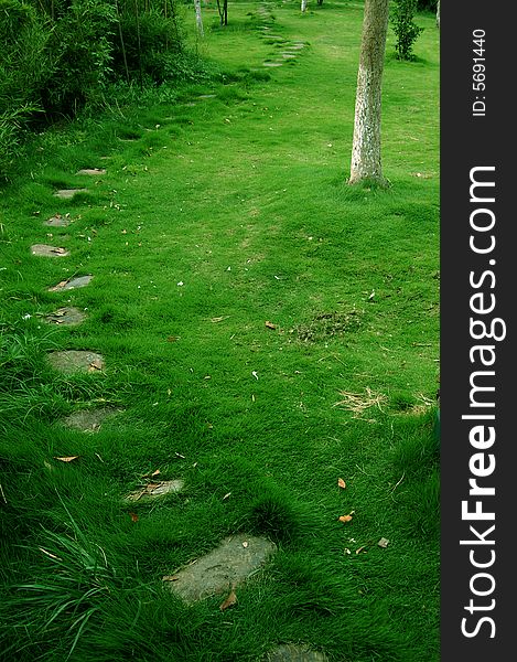 A rock road on a hill through the image vertically