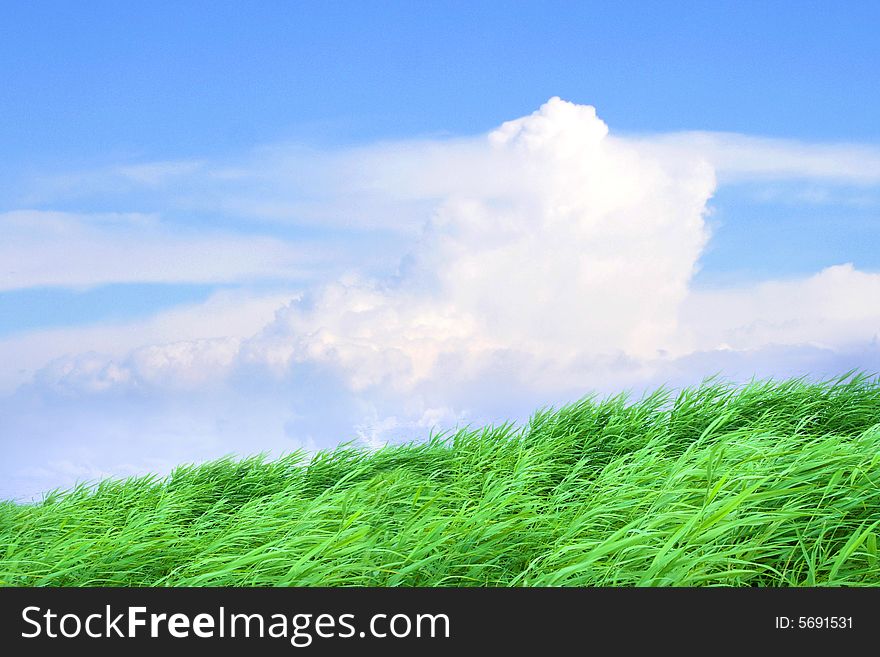 Sky and cloud on green year landscape