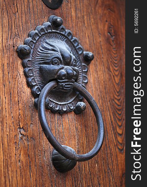 Lion Knocker