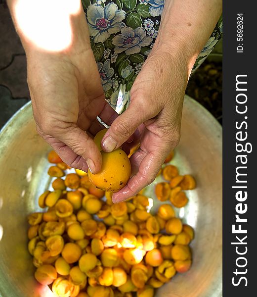 Senior woman hands cleaning apricot over metal dish. Senior woman hands cleaning apricot over metal dish