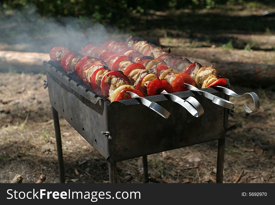 Delicious meat kebab on BBQ. Delicious meat kebab on BBQ