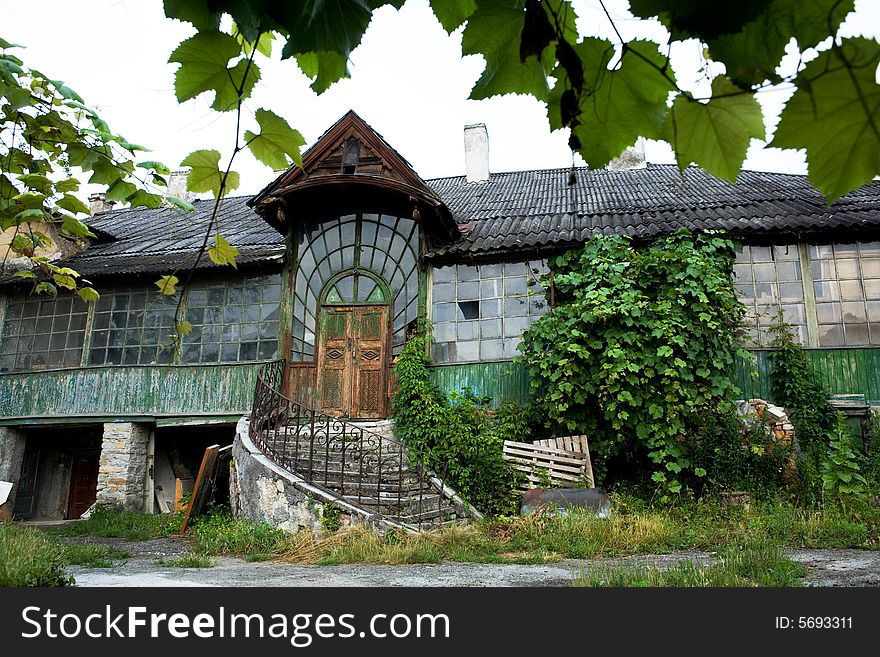 An image of house with wild grapes. An image of house with wild grapes