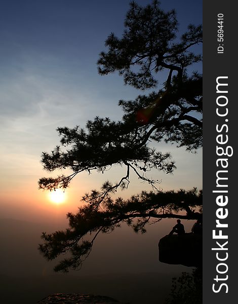 The tip of cliff have the big tree and people sit there for looking to the sunrise. The tip of cliff have the big tree and people sit there for looking to the sunrise