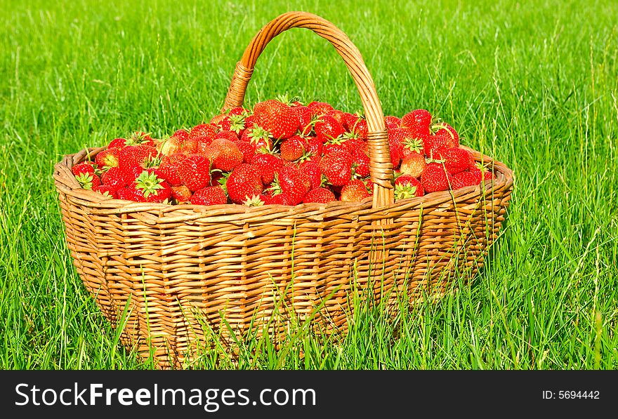 Big heap of strawberry in the basket which is situated on the green lawn