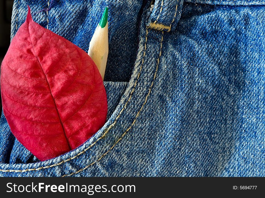 Red leaf on blue jeans kid pocket